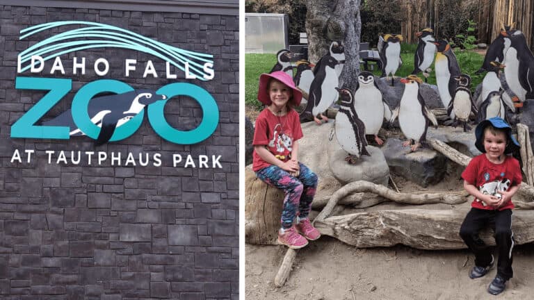 Kids with zoo penguin exhibit